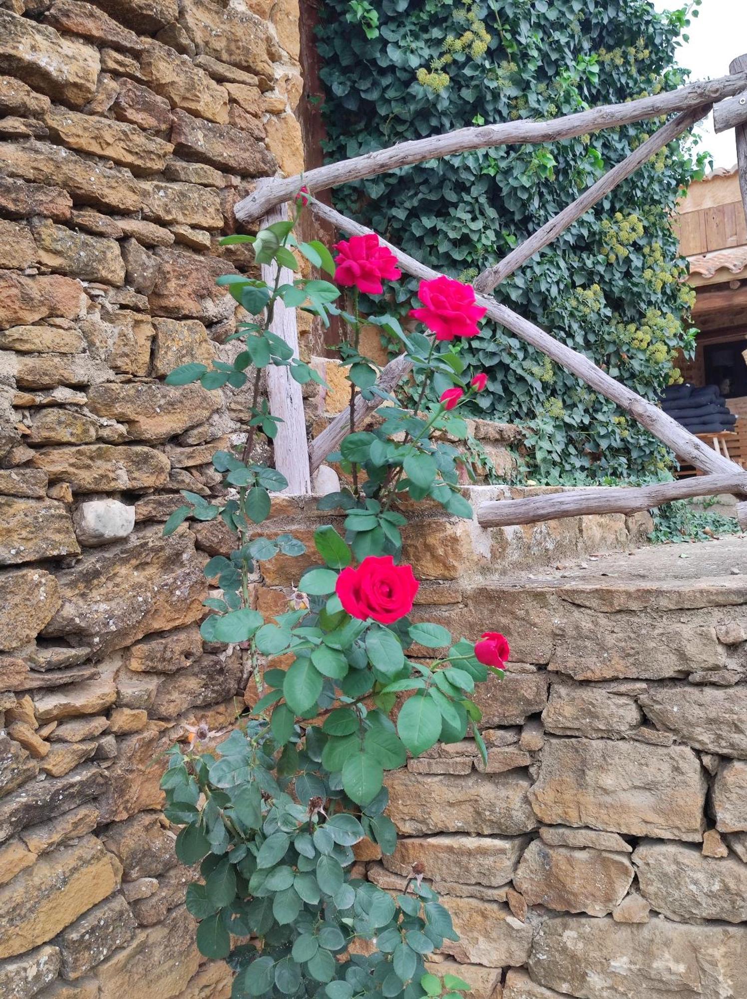 Masia Riu Dels Arbres Benassal Exterior photo